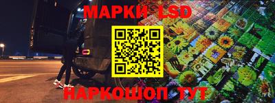 стафф Камышлов