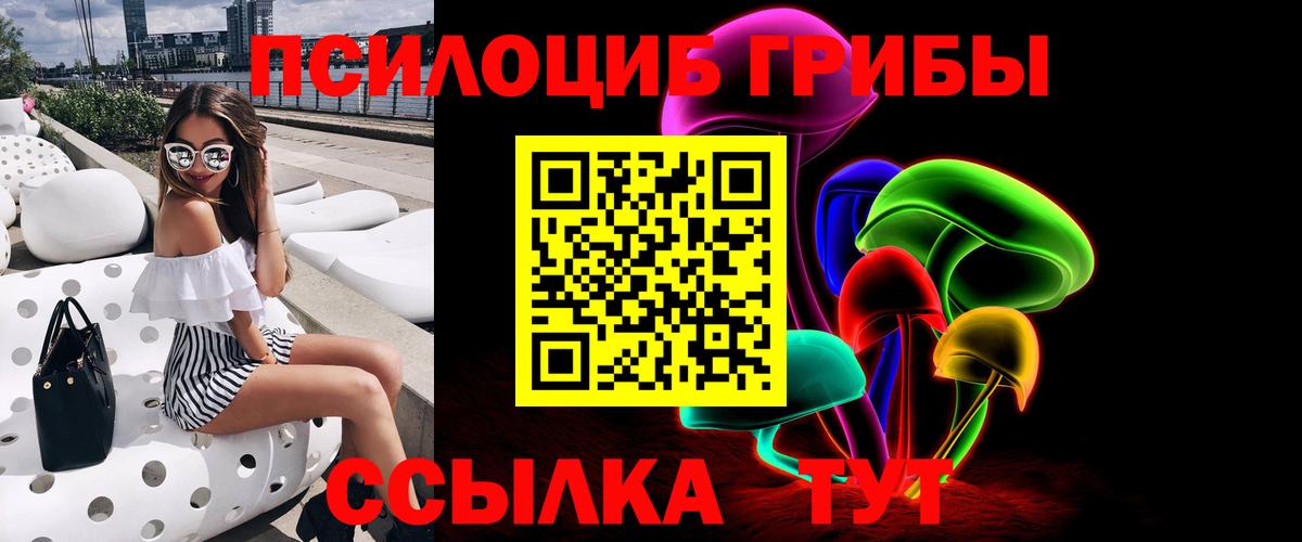 Псилоцибиновые грибы Cubensis Чебоксары