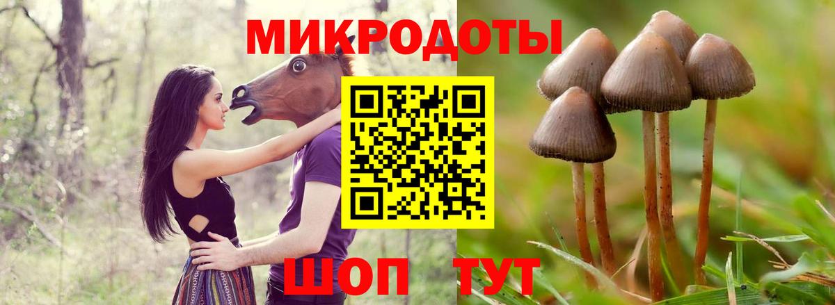 Чебоксары  Галлюциногенные грибы мухоморы  Вход с VPN 